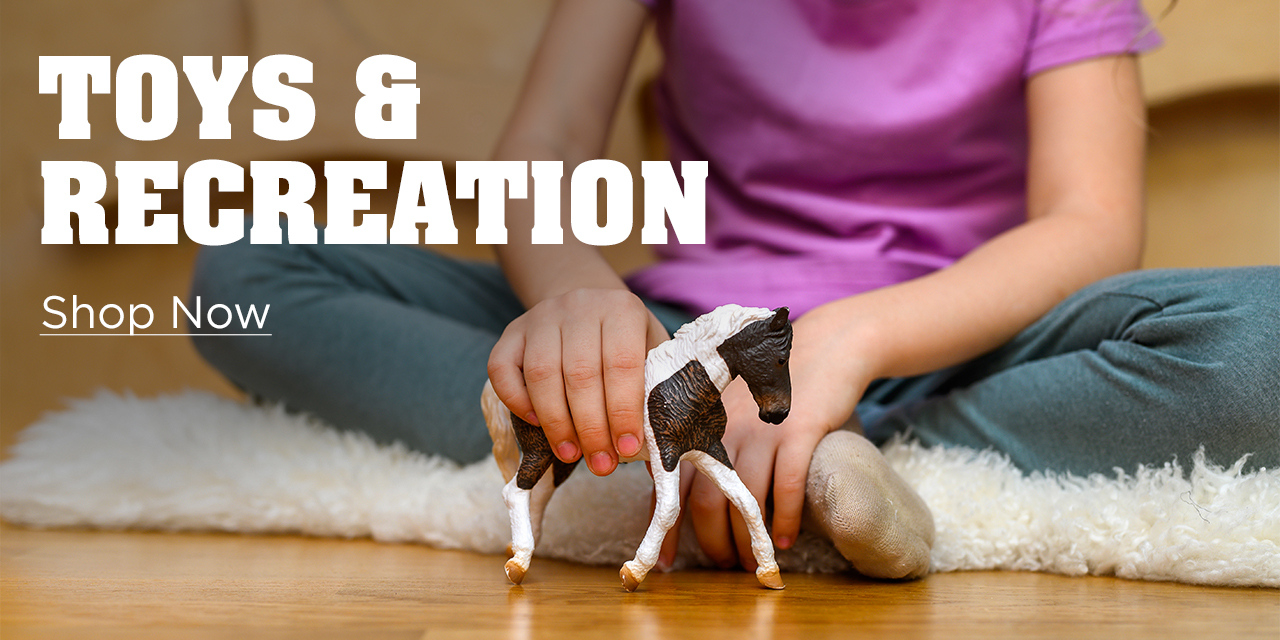 Toys & Recreation